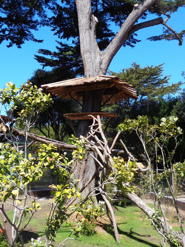 a tree house built into the side of a large tree in a park with lots of trees around it