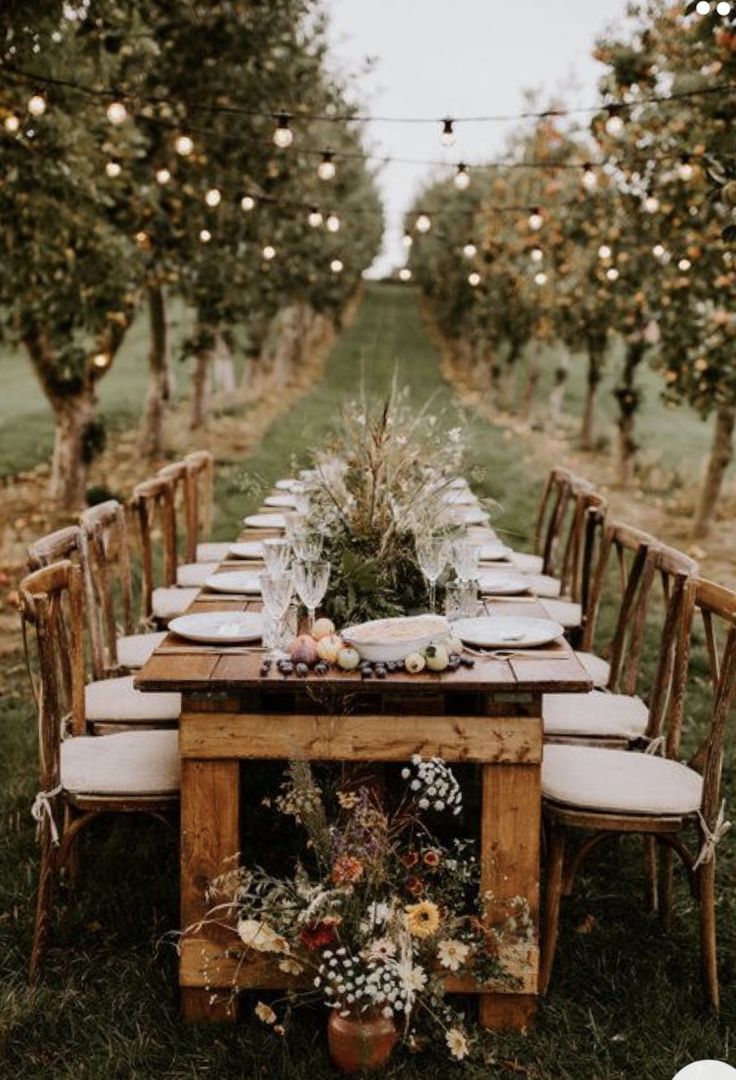 an outdoor dinner table set up in the middle of an apple orchard with string lights