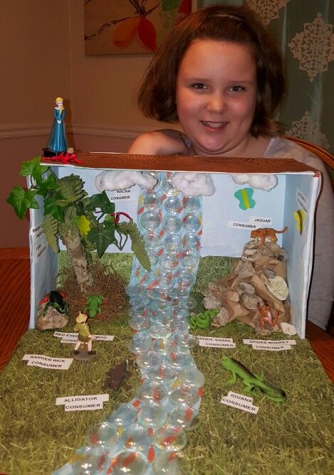 Rainforest diorama by Sydney Simmons, 4th grade, 10 yrs old.  A science project studying the ecosystem and food chain to include producers, consumers and decomposers. Elsa and her pet frog oversee the fun of course. African Savanna Diorama, Savannah Diorama Project, Giraffe Habitat Diorama, Savannah Ecosystem Project, Cheetah Habitat Project For Kids, Savanna Animals Crafts, Savannah Biome Project, African Savannah Diorama, Diorama Animal Habitat