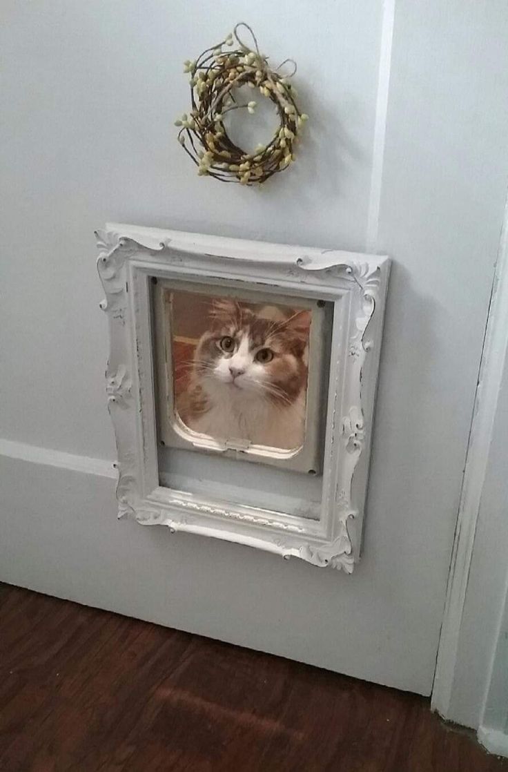 an orange and white cat looking through a frame on the wall next to a wreath