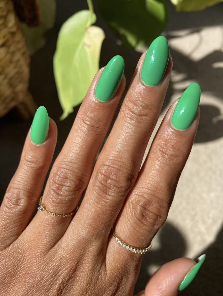 Kelly Green Almond Nails, Candy Green Nails, Kelly Green Nails Design, Green Nails Bright, Kelly Green Nails, Bright Green Nails, Green Nail Ideas, Secret Nails, Plain Nails