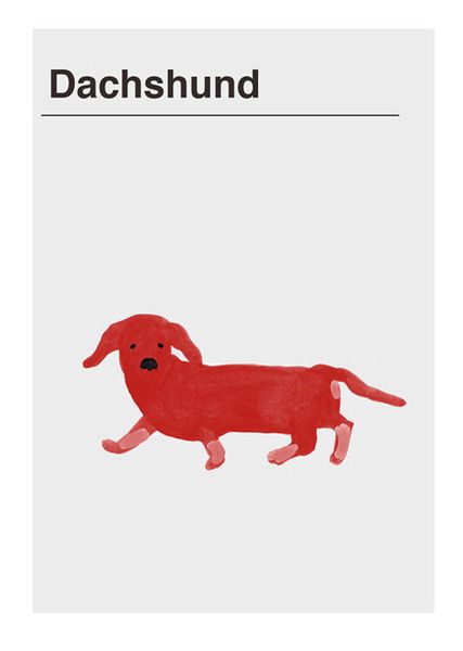 a red dachshund dog on a white background with the words'dachshund'in black