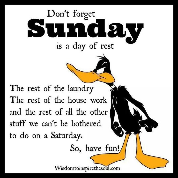 a cartoon duck with the words sunday on it