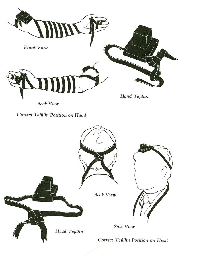 the instructions for how to tie a necktie in different styles and colors are shown