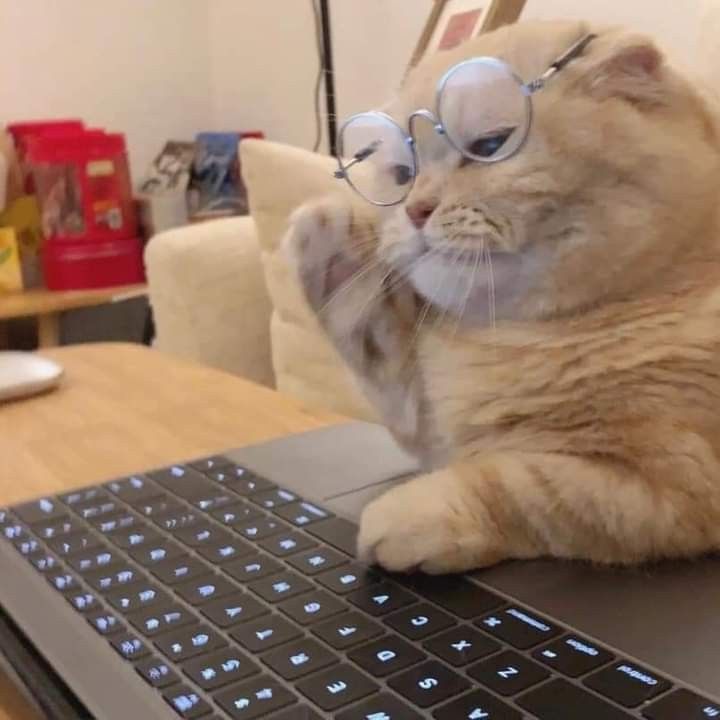 an orange cat wearing glasses sitting on top of a laptop computer with its paw in the air