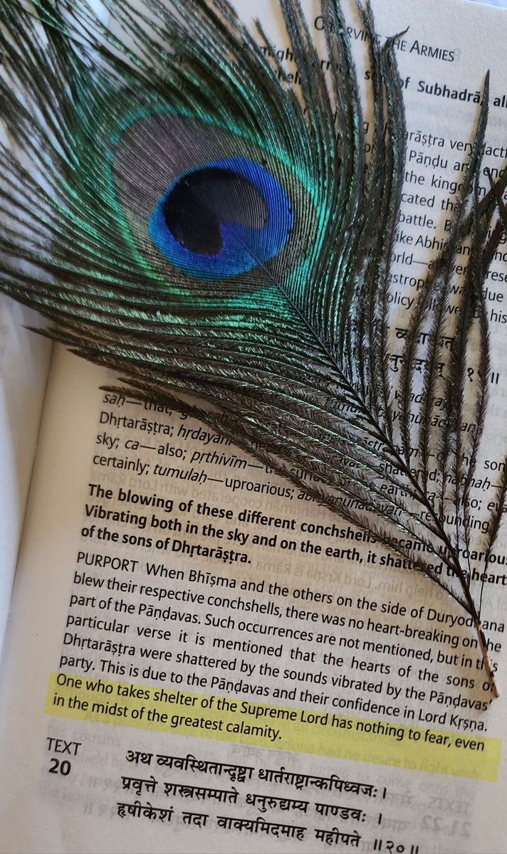 a peacock feather laying on top of an open book