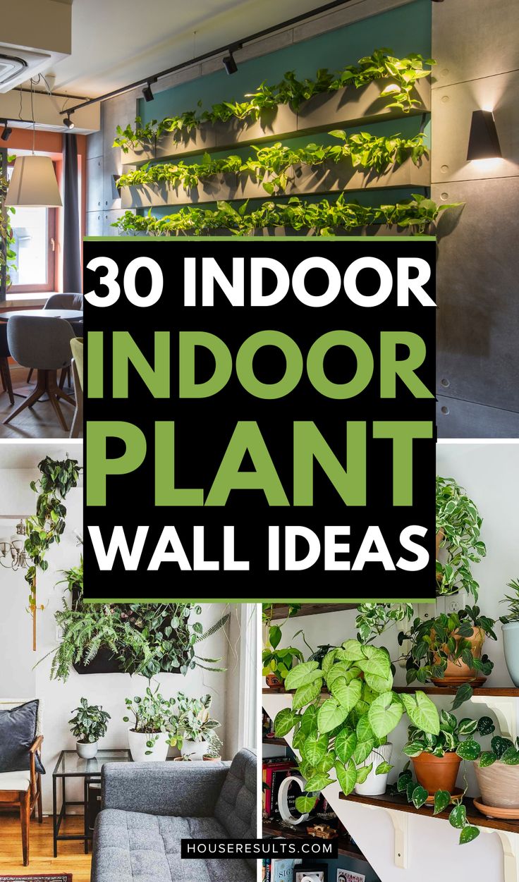 indoor plant wall ideas that are easy to do in the living room and kitchen area