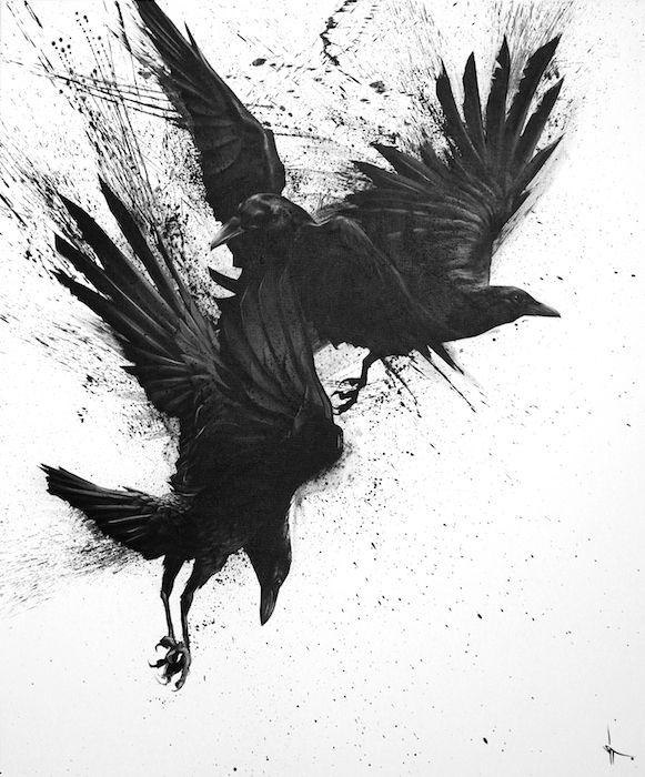 two black birds are flying in the air