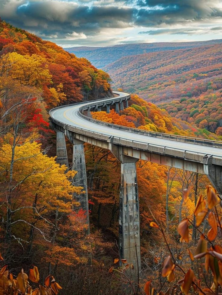 a road going over a bridge in the middle of trees with fall foliage around it