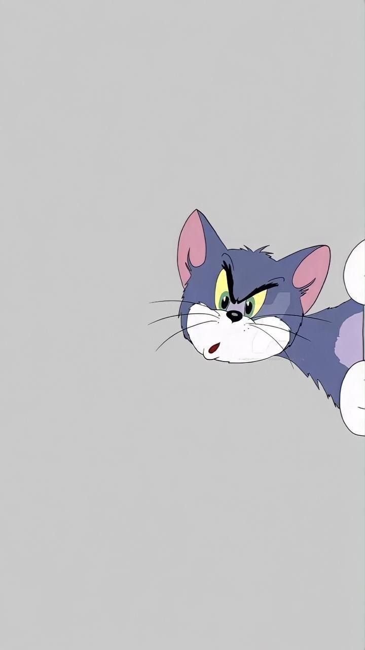 an animated cat with yellow eyes and green eyes looks out from behind a corner on a gray background