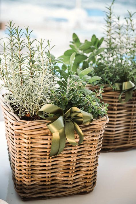 two wicker baskets with plants in them