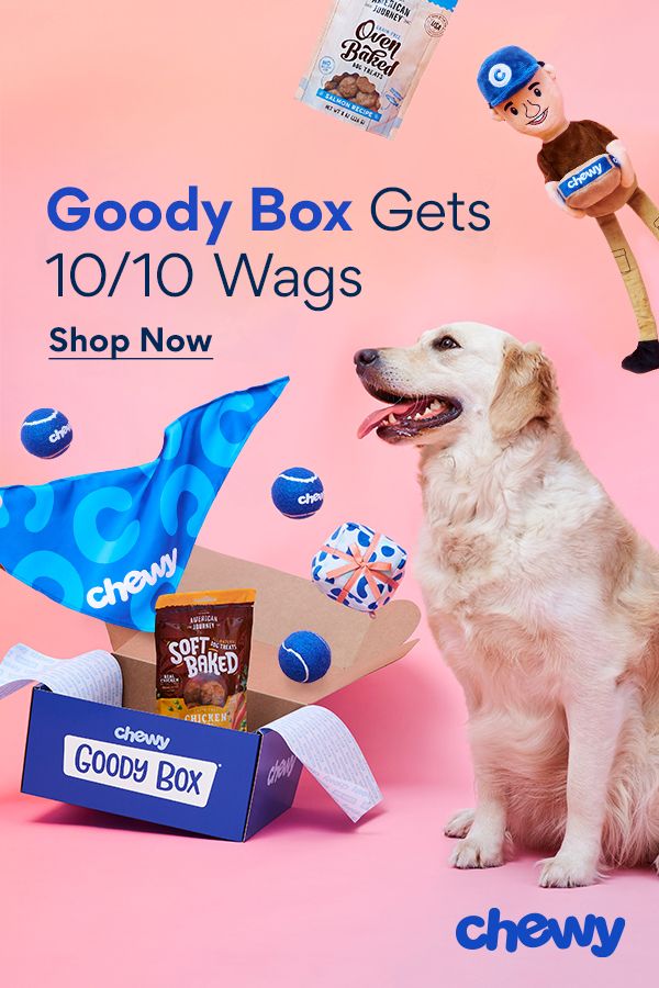 a dog sitting in front of a box of goody boxes