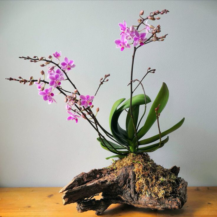 an arrangement of flowers is displayed on a wooden table, with moss and branches in the foreground