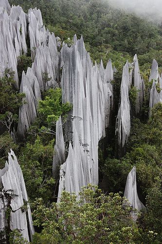 an aerial view of some very tall rocks in the forest