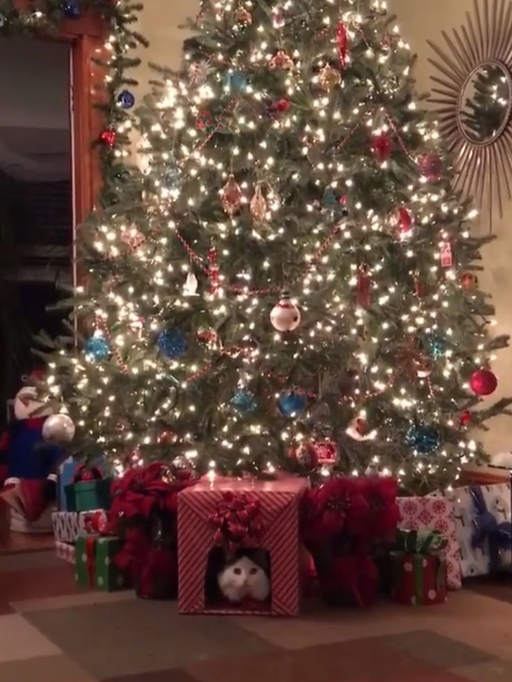 a christmas tree with lights and presents under it