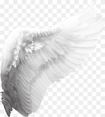 an angel wing flying in the air with its wings spread out, transparent background png clip