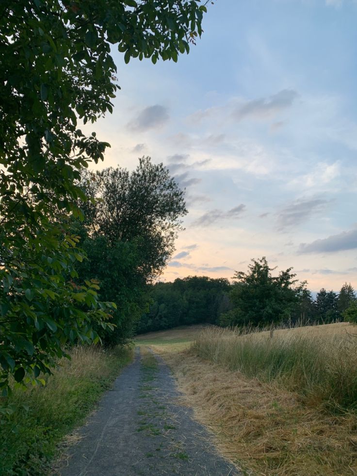 a dirt road in the middle of a field with tall grass and trees on either side