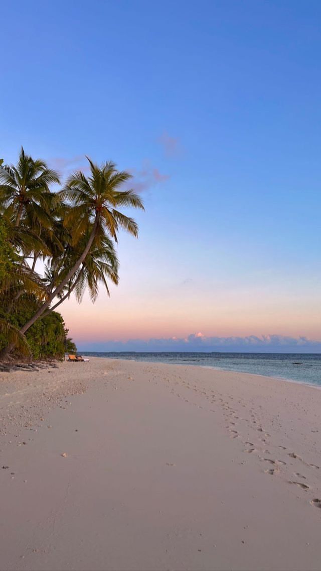 a beach with palm trees and the ocean in the background