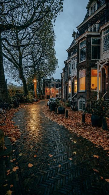 a cobblestone street in the evening with autumn leaves on the ground and trees