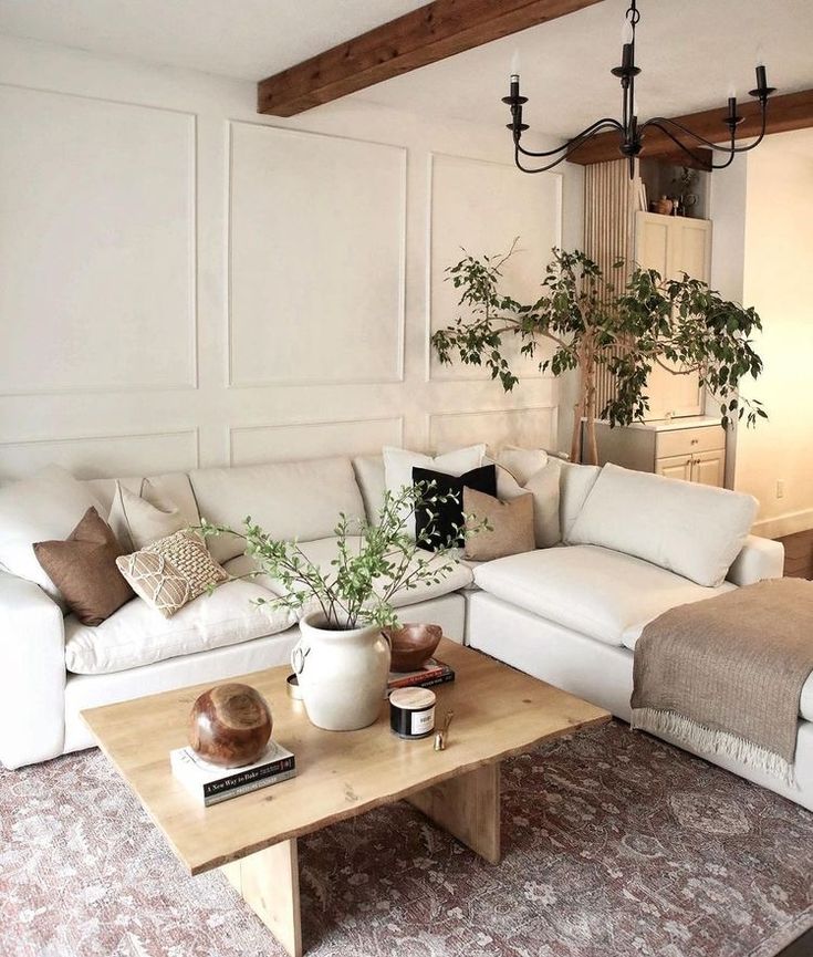 a living room filled with furniture and a potted plant on top of a coffee table