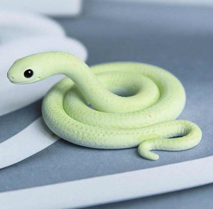 a green snake is laying on the floor next to some white paper and a black eye