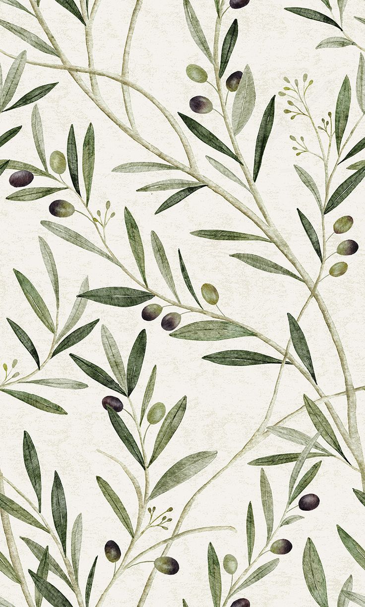 an olive branch wallpaper with green leaves and berries on the branches, painted in watercolor