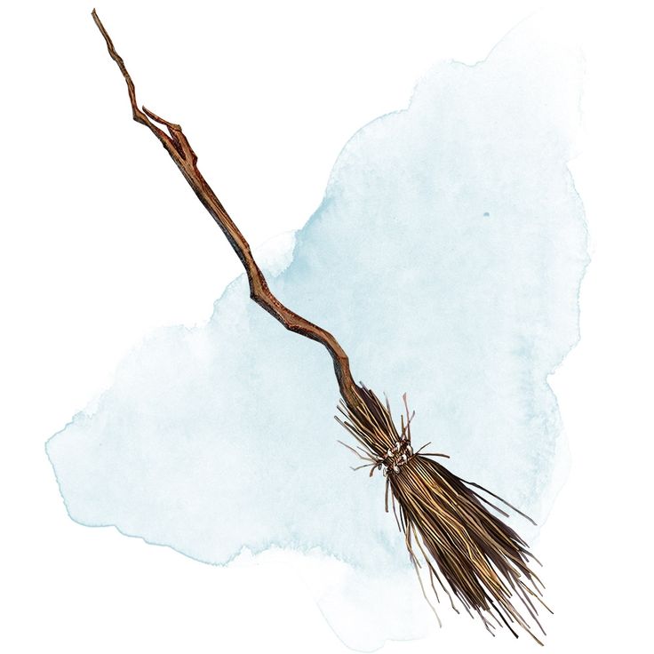 a watercolor painting of a dead tree branch with brown leaves and long, thin needles