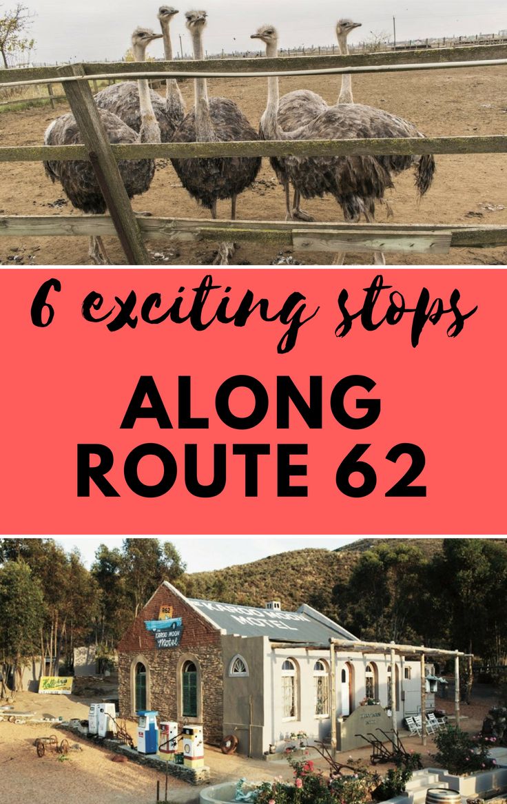 an ostrich farm with text overlay reading 6 exciting stops along route 66