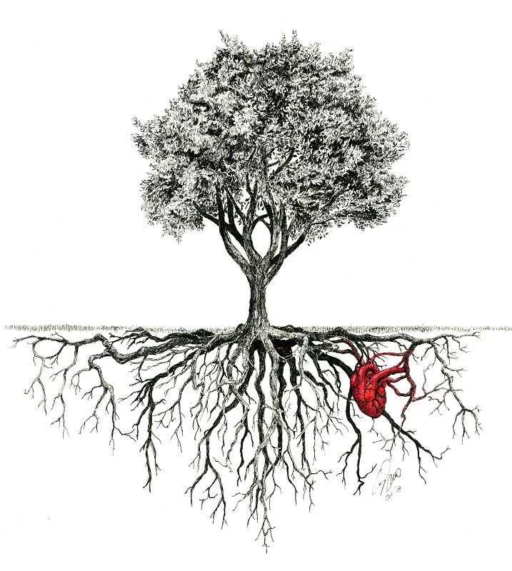 a drawing of a tree with roots and a heart