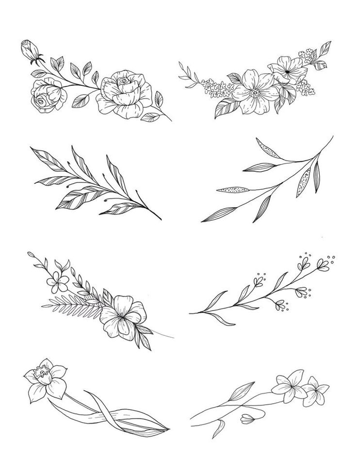 flowers and leaves are drawn in black ink on a white background, each with different designs