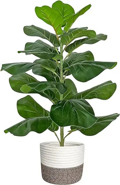 a potted plant with large green leaves in it's white and gray vase