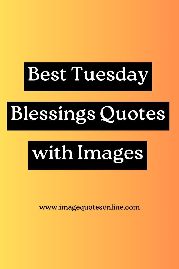 75 Best Tuesday Blessings Images and Quotes Beautiful Tuesday, Saturday Blessings, Tuesday Blessings, Saturday Quotes, Good Saturday, Tuesday Quotes, Tuesday Motivation, Inspiring Words, Blessed Quotes