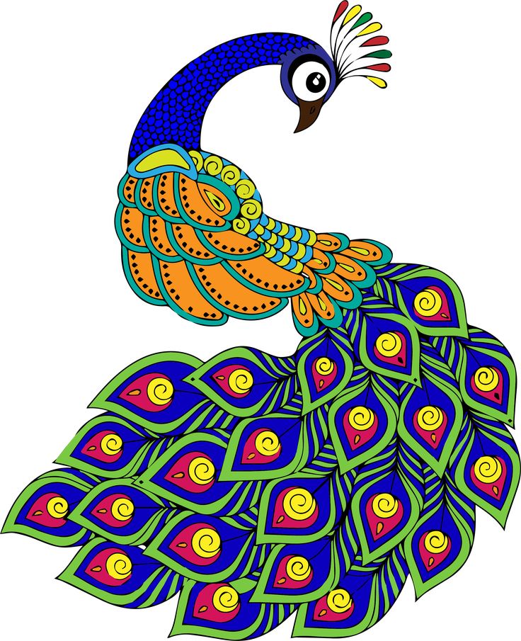 a peacock with colorful feathers on it's back