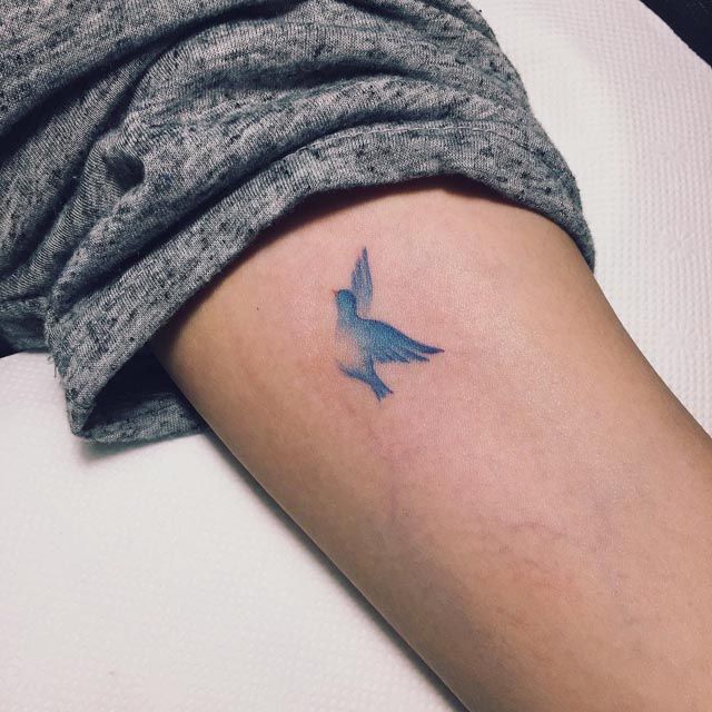 a small bird tattoo on the arm