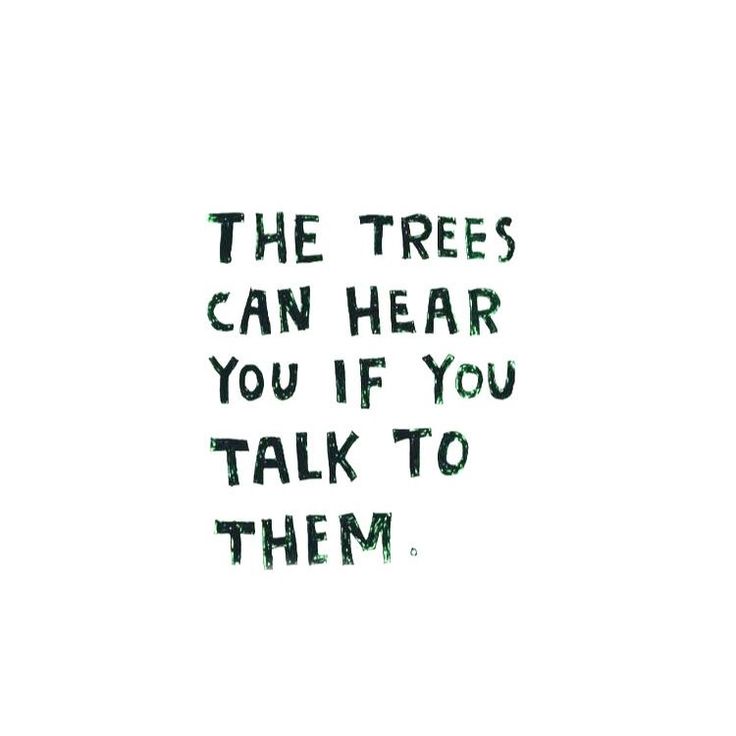 the trees can hear you if you talk to them quote on white paper with green ink