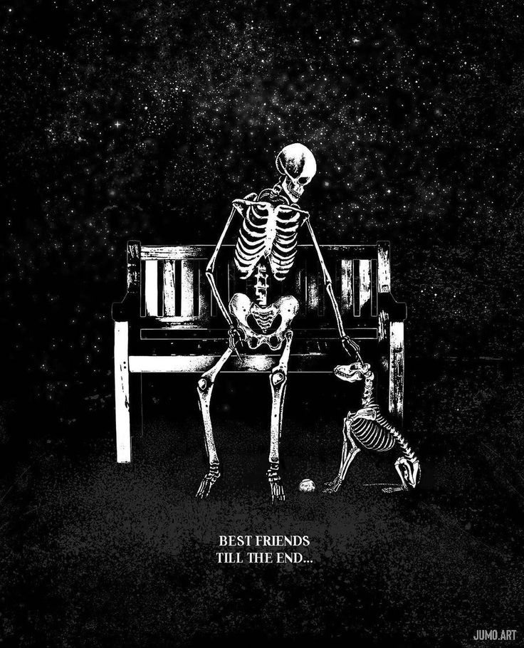 a skeleton sitting on top of a bench next to a little boy with a dog