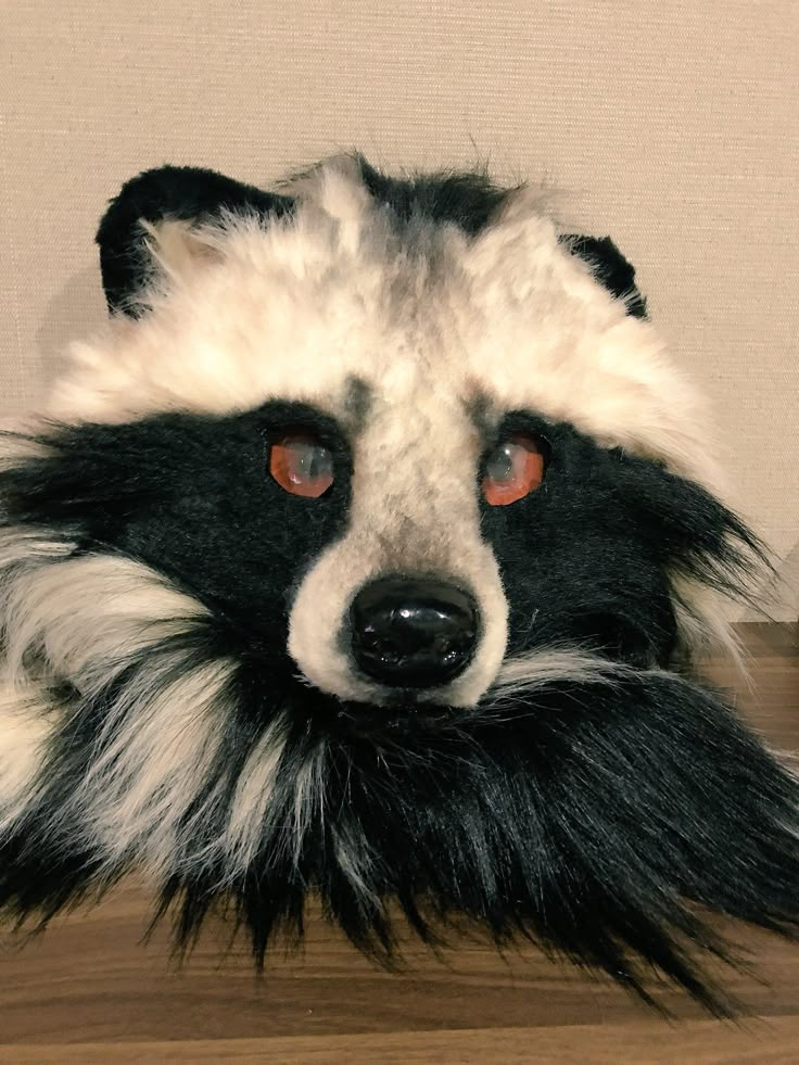 Skunk Therian Mask, Raccoon Therian Mask Design, Opossum Therian Mask, Racoon Therian Mask, Raccoon Therian Mask, Racoon Fursona, Raccoon Fursuit, Raccoon Therian, Paper Mask Diy