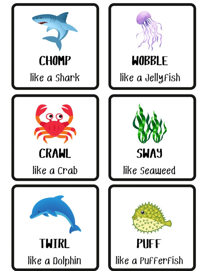 four different types of sea animals with words on them