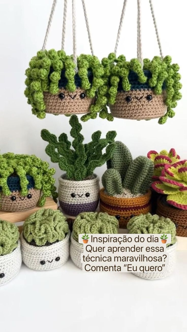 crocheted pot holders with plants hanging from the top, and text that reads inspiracao do dia de plantas