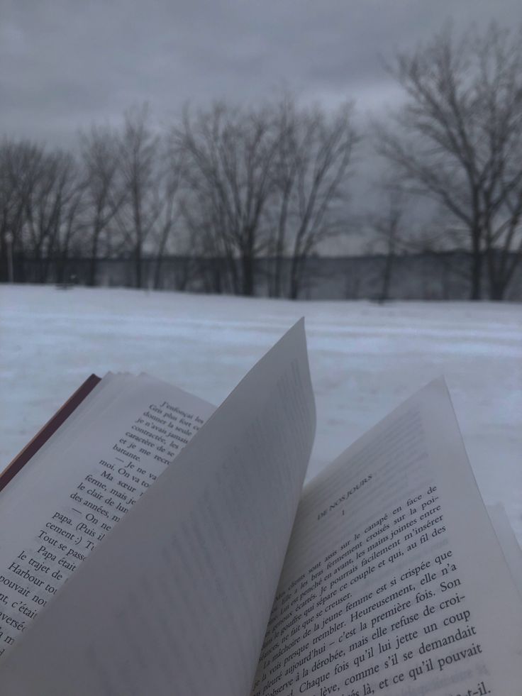 an open book sitting on top of a snow covered ground next to some bare trees