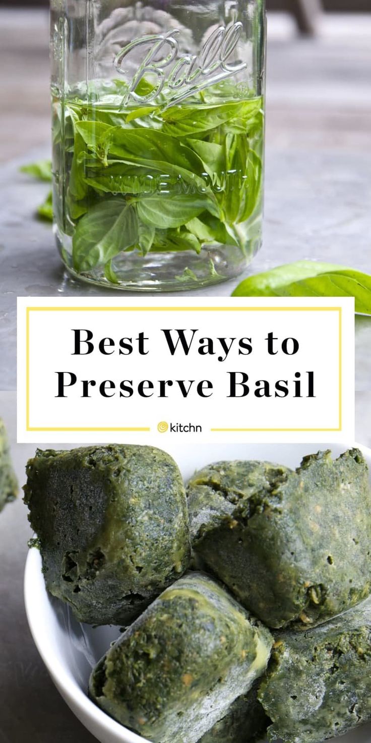 the best ways to preserve basil