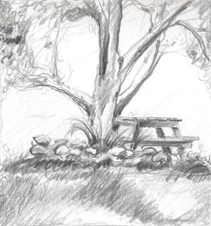 a pencil drawing of a bench under a tree