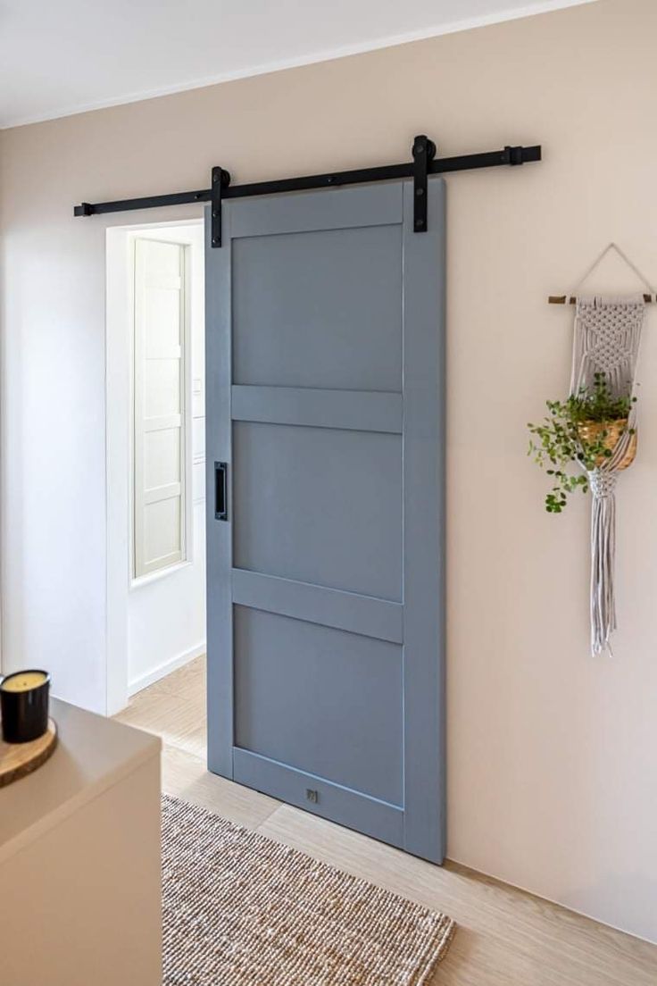 a blue sliding door in a living room next to a rug and potted plant