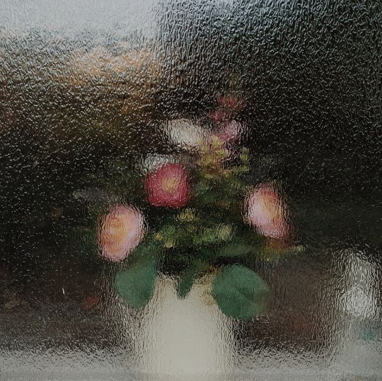 a vase filled with flowers sitting on top of a window sill covered in frost