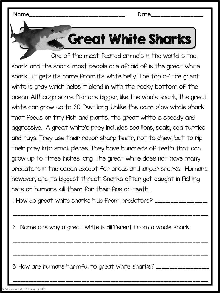 the great white shark worksheet for students to practice their writing and reading skills