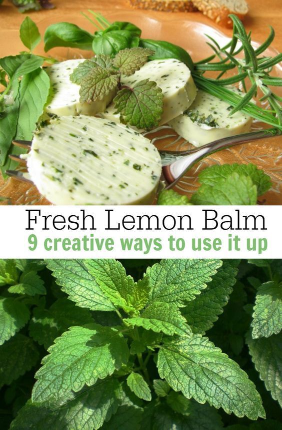 fresh lemon balm is the perfect way to use it up