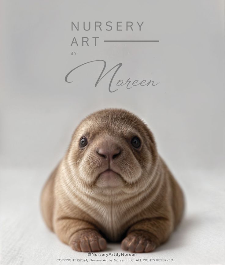 a baby seal sitting on top of a white sheet with the words nursery art written above it