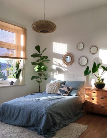 a bed sitting in a bedroom next to a window with lots of plants on top of it