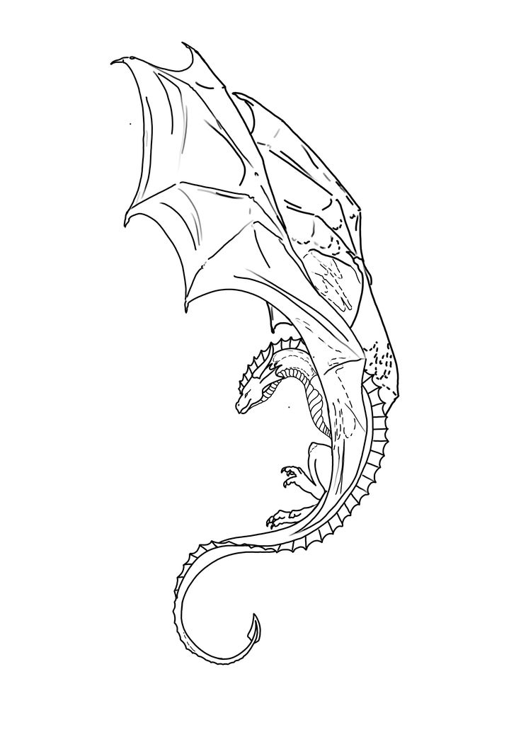 a black and white drawing of a dragon