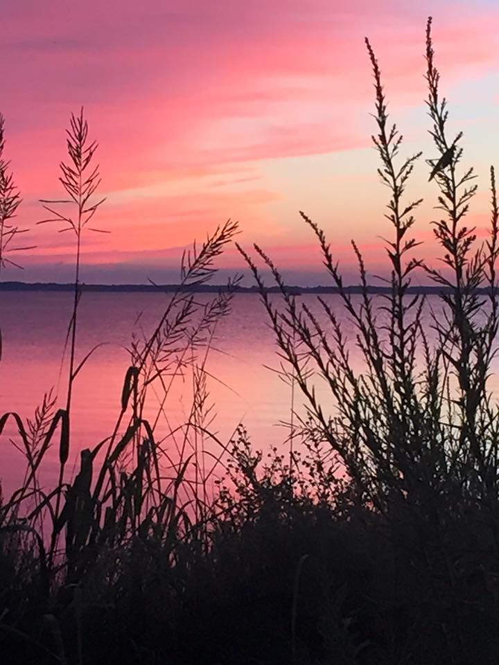 the sky is pink and purple as the sun goes down over water with grass in foreground